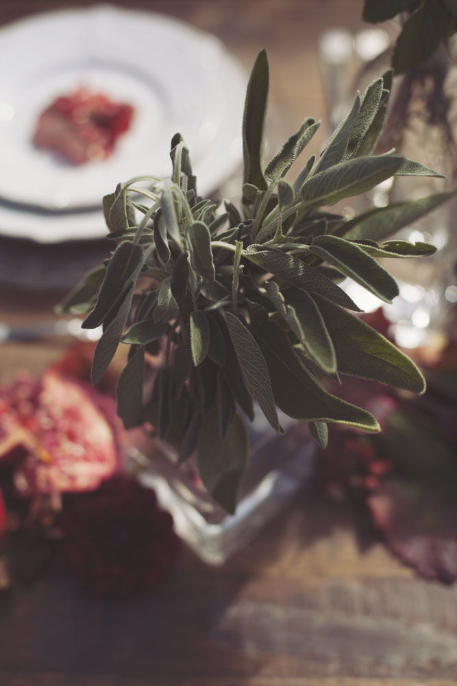 inspiration-vigna-marsala-autunno-matrimonio-tiziana-gallo-fotografa_028-1
