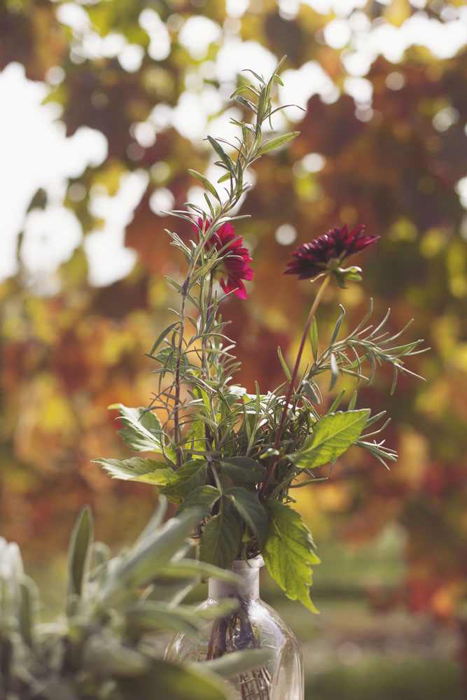 inspiration-vigna-marsala-autunno-matrimonio-tiziana-gallo-fotografa_029-1