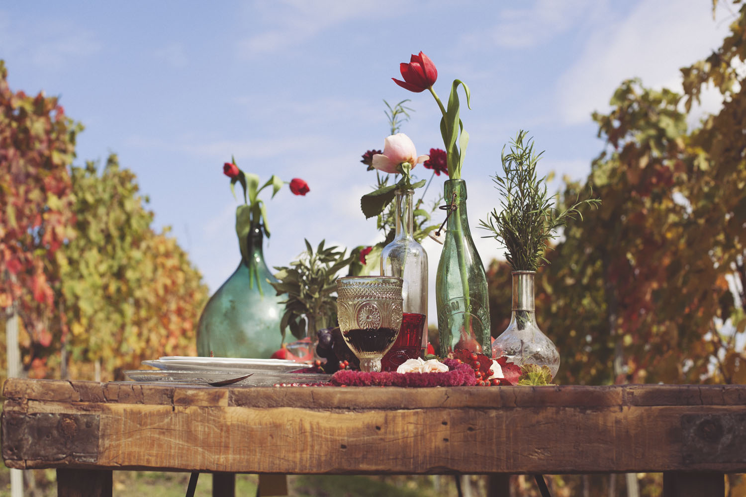 inspiration-vigna-marsala-autunno-matrimonio-tiziana-gallo-fotografa_040
