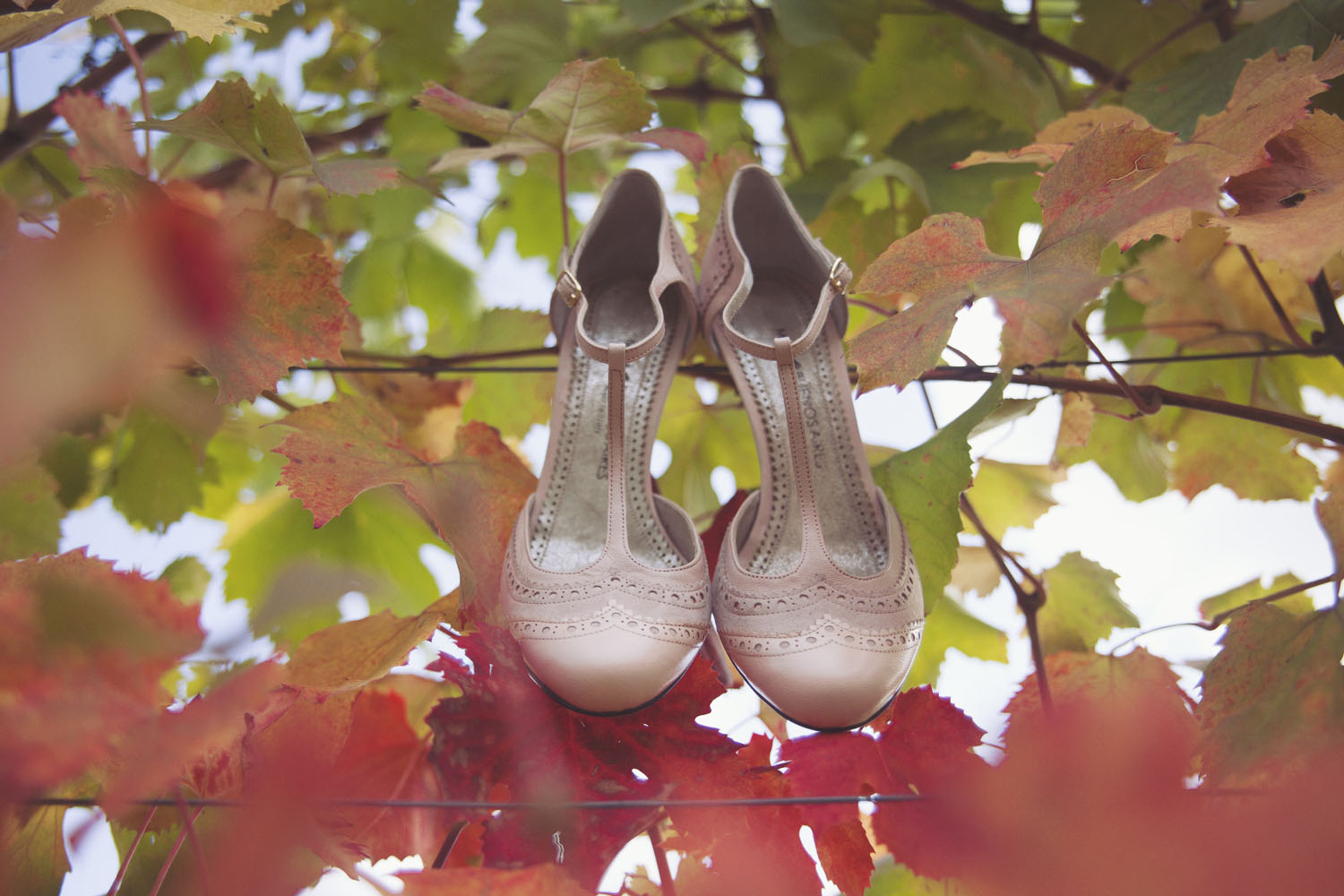 inspiration-vigna-marsala-autunno-matrimonio-tiziana-gallo-fotografa_093