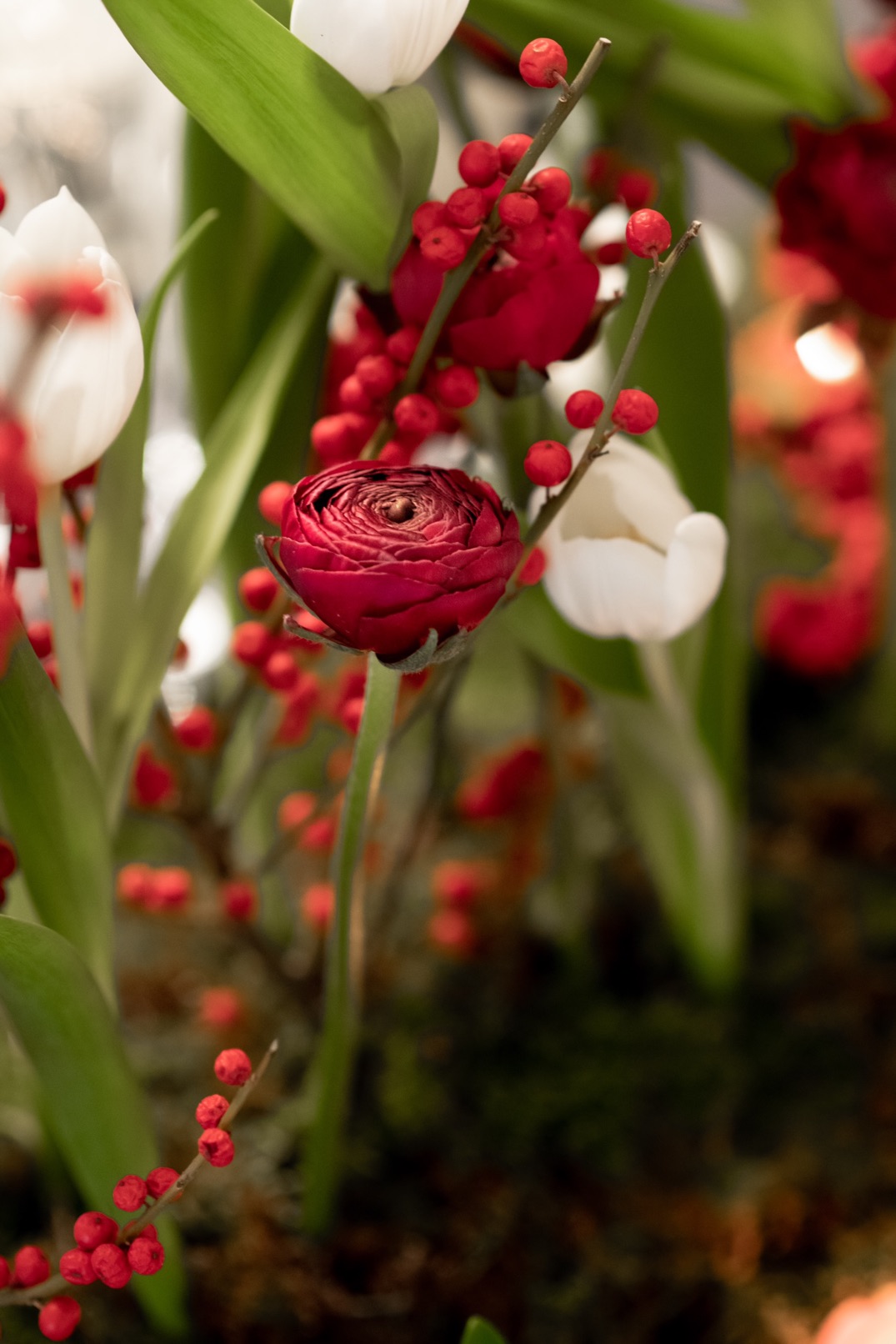 image00011